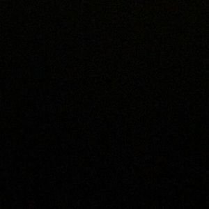 Meet your Posher, Quinn